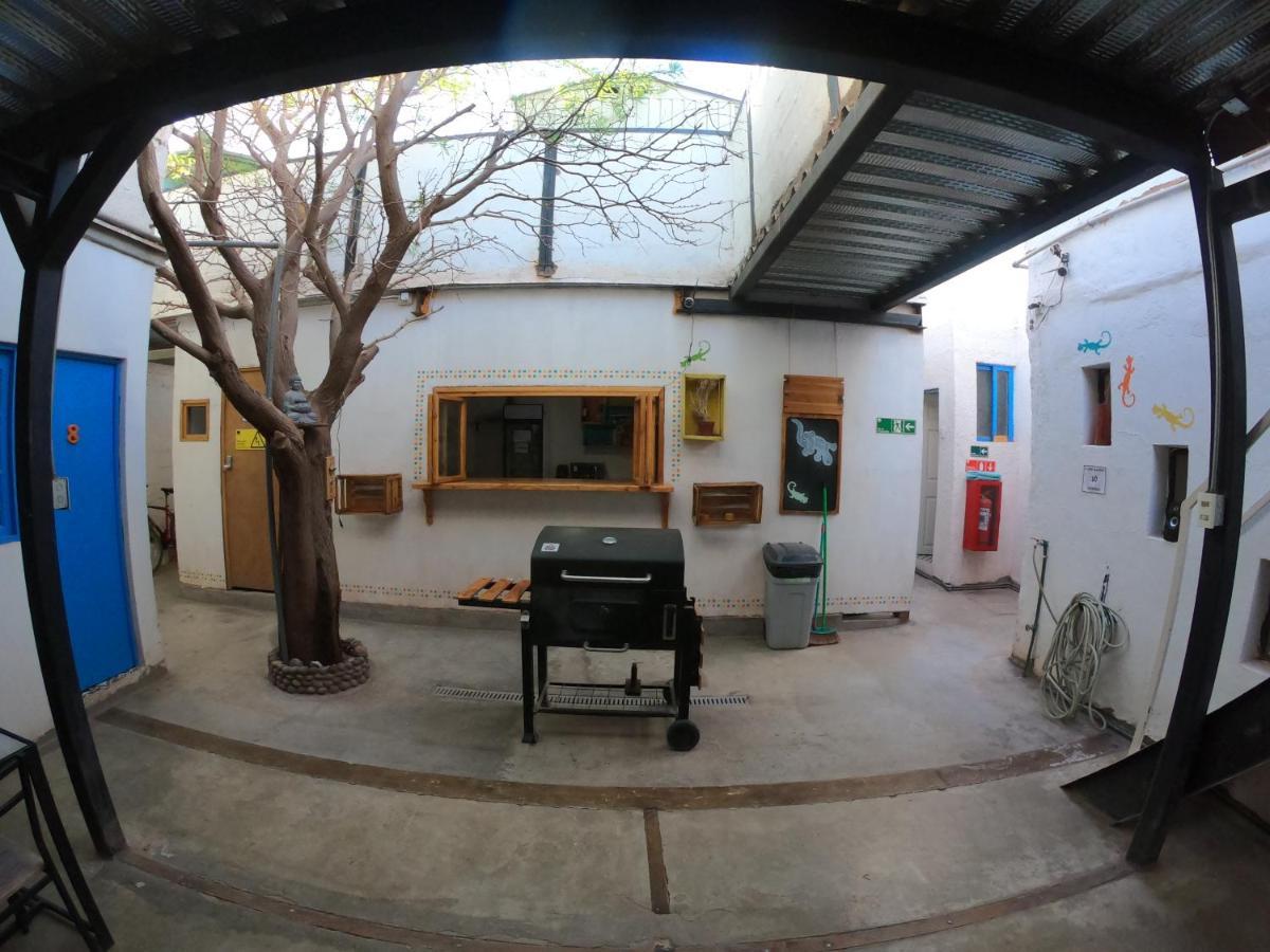 سان بيدرو دي أتاكاما Rey Lagarto Hostel المظهر الخارجي الصورة