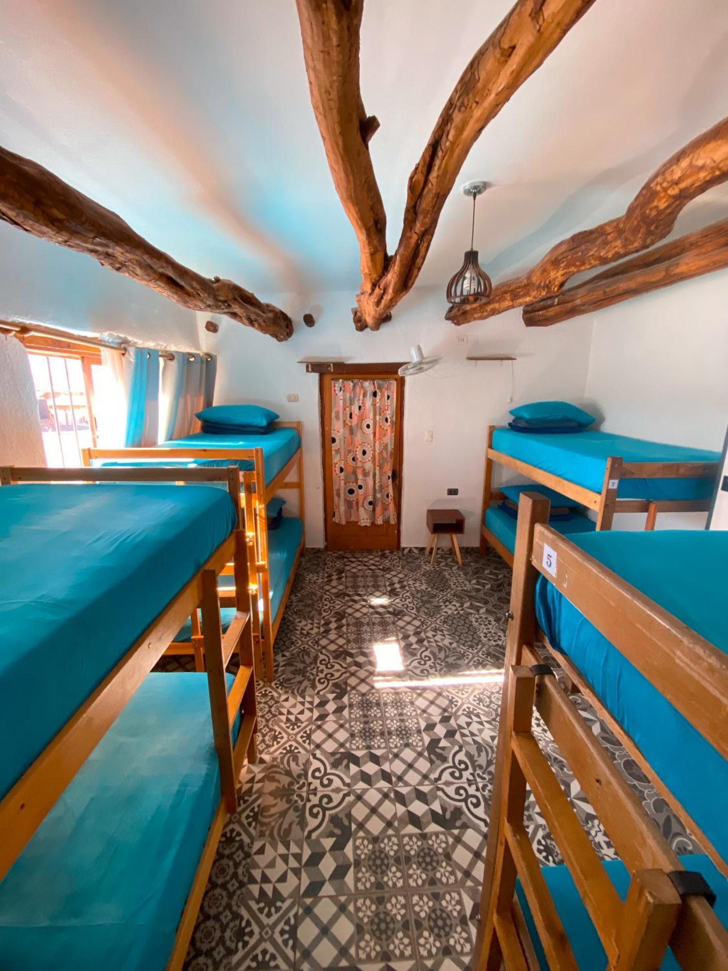 Rey Lagarto Hostel سان بيدرو دي أتاكاما المظهر الخارجي الصورة