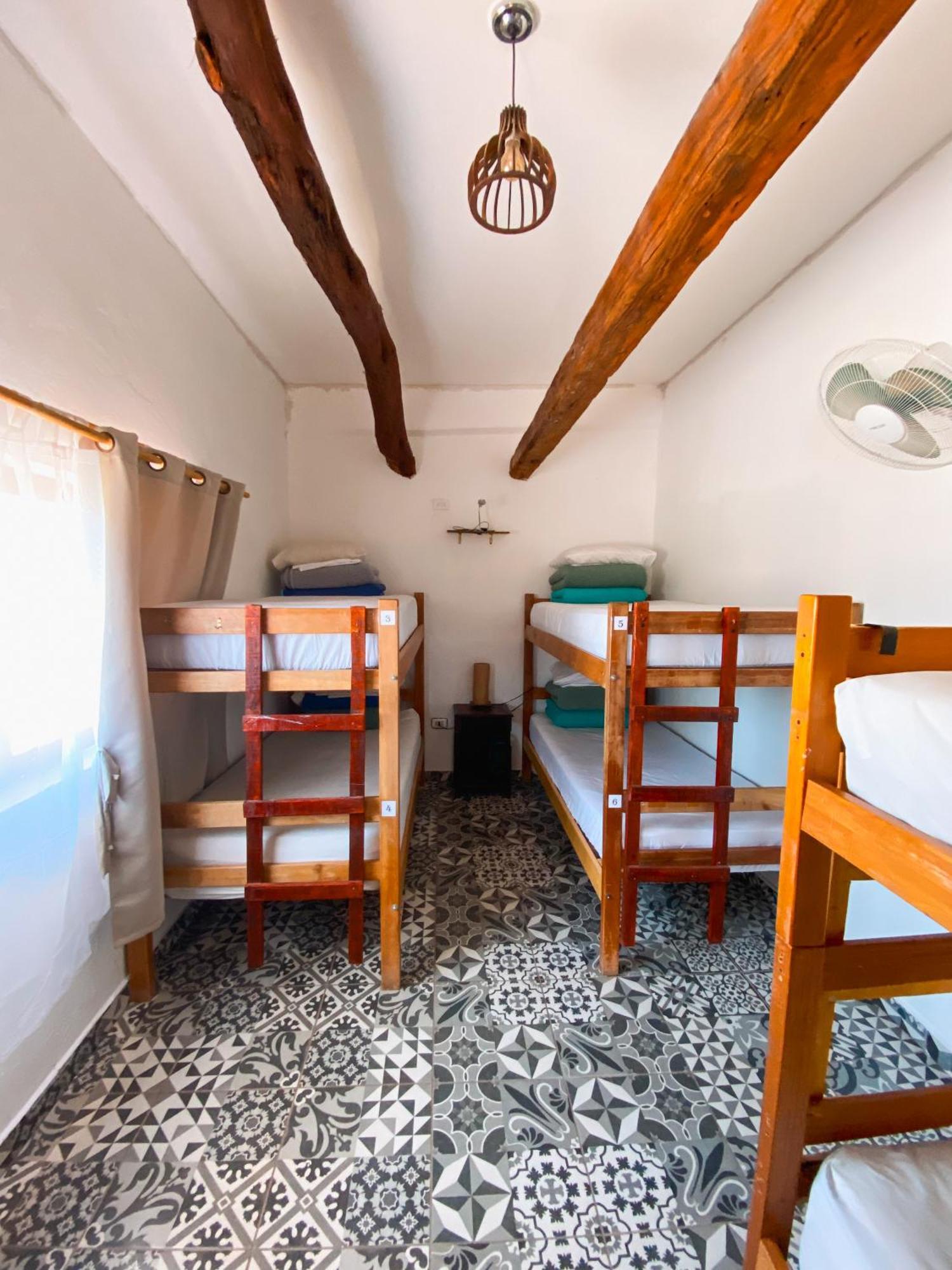 Rey Lagarto Hostel سان بيدرو دي أتاكاما المظهر الخارجي الصورة